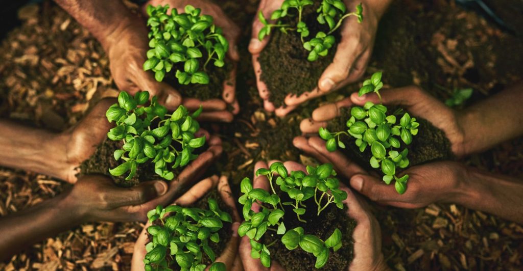 Time diverso é potência de performance, inovação e resultados