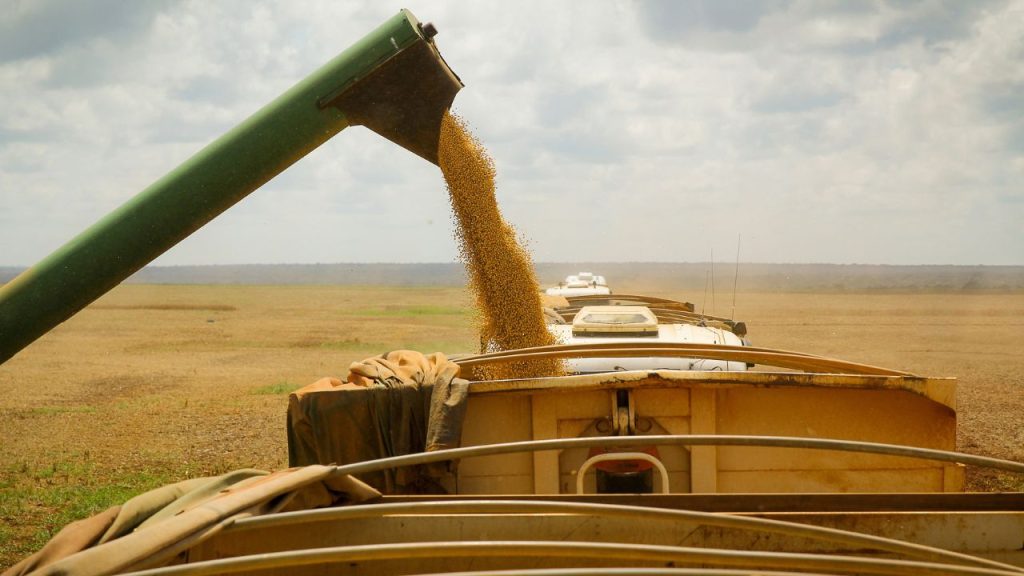 Agro cresce 11,7% em 2025 e responde por um terço da expansão do PIB