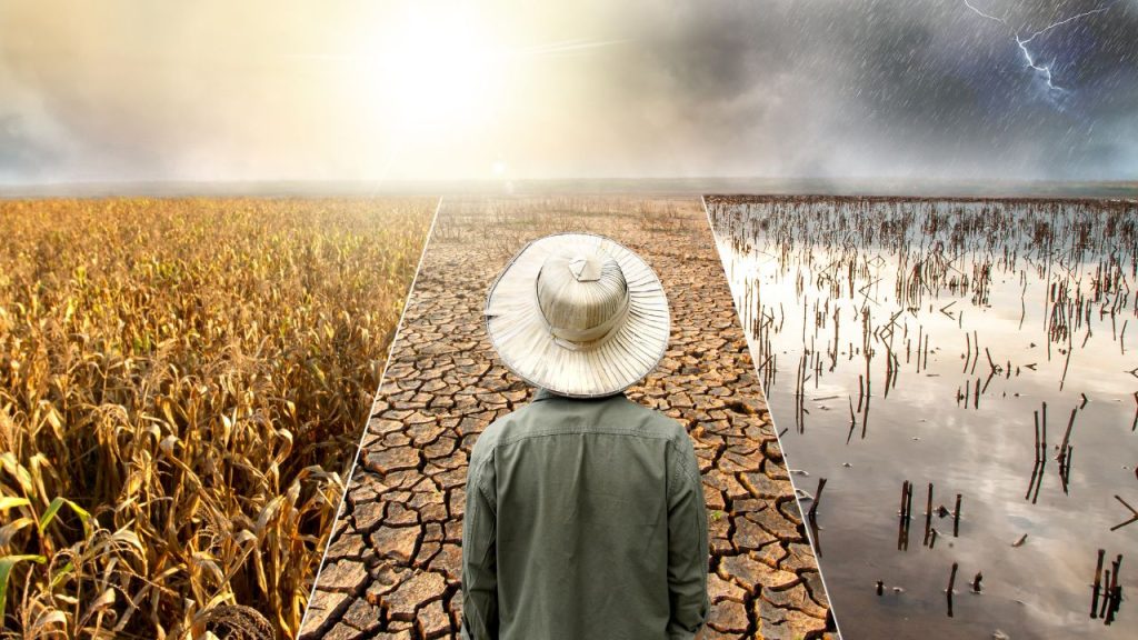 Mudanças climáticas no agronegócio: como o produtor pode se adaptar e transformar risco em oportunidade