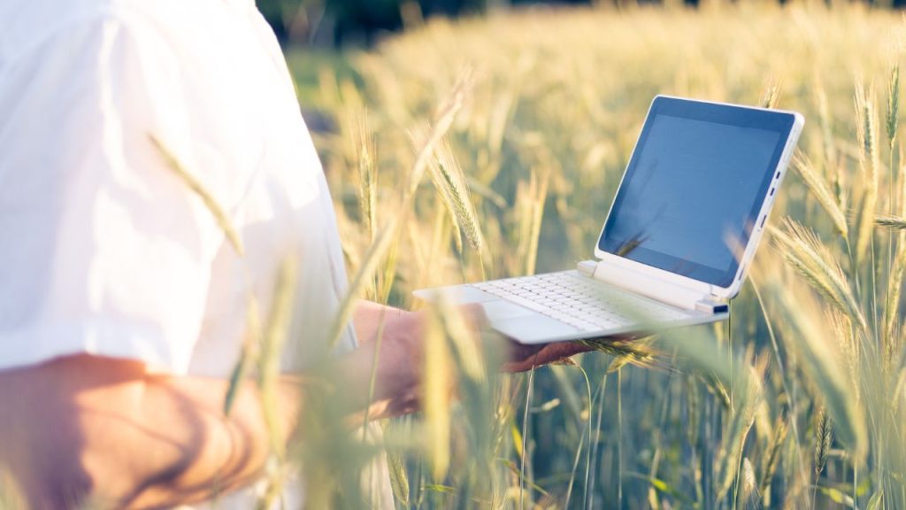A importância do agromarketing