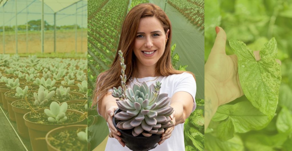 Ano da Mulher Agricultora: conheça Raissa Scian, produtora que transformou suculentas em um negócio familiar