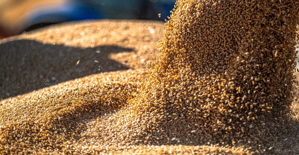 Crise de armazenagem de grãos: como o gargalo logístico impacta a rentabilidade no campo