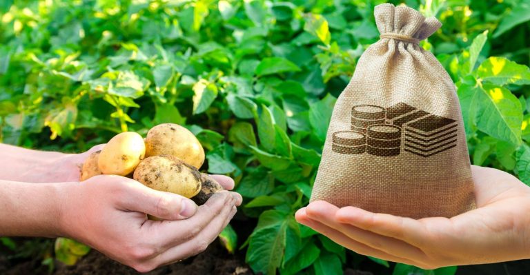 O guia definitivo do crédito rural para pequenos produtores [Ebook]