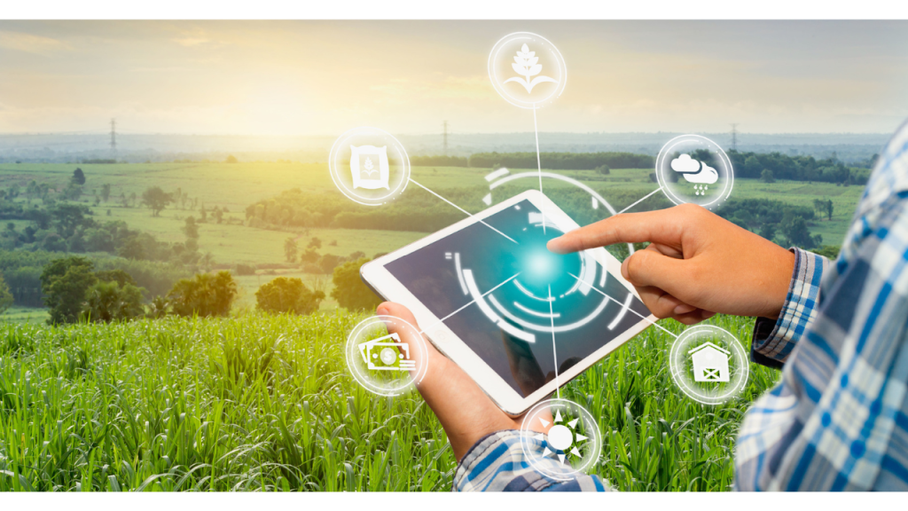 Conheça as principais modalidades de apoio e financiamento oferecidos pela Finep para o agro