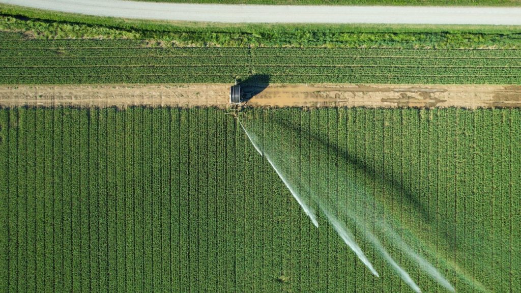 Agrishow consolida protagonismo do Brasil na segurança alimentar global