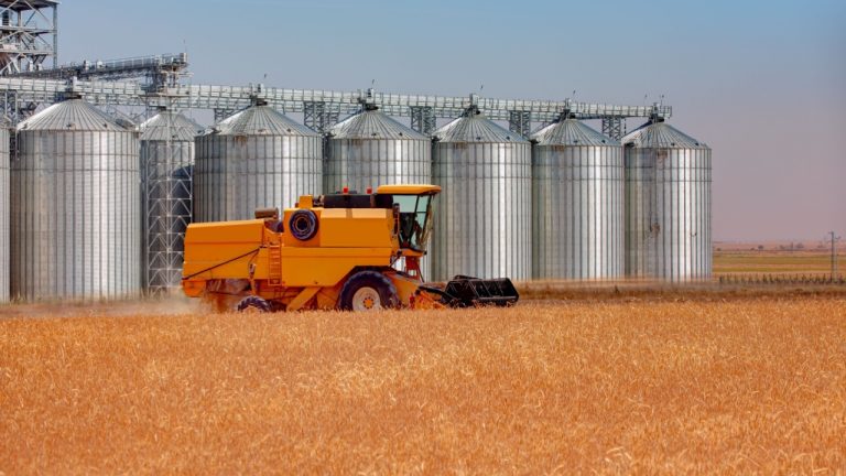 Sistemas de armazenagem avança, reforçam eficiência do agronegócio brasileiro e impulsionam competitividade no campo