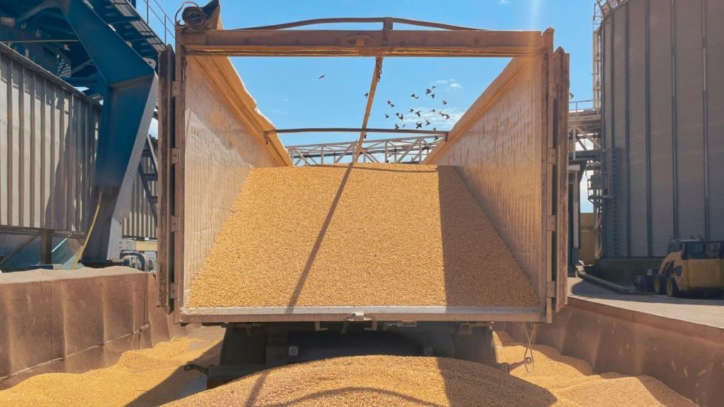 Sudeste Asiático: por que a região se tornou estratégica para o futuro do agro brasileiro