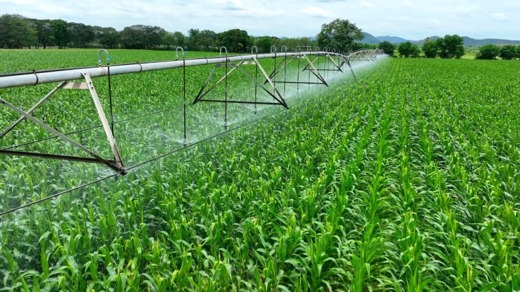 Irrigação pode reduzir riscos climáticos para a safra brasileira de grãos 2026/27