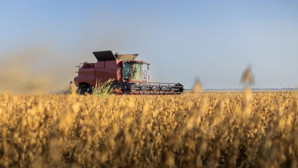 Dados ganham peso na comercialização de grãos diante de margens mais apertadas