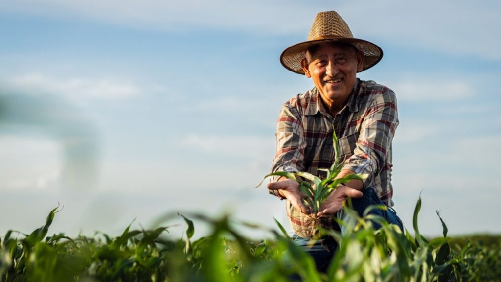 Do campo à reputação: como o agro pode transformar inovação, ESG e bioeconomia em confiança pública