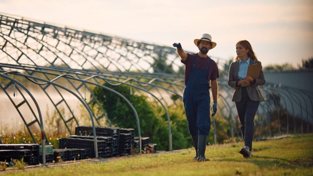 Plano Safra 2026/27: como o produtor pode se preparar para acessar o crédito rural