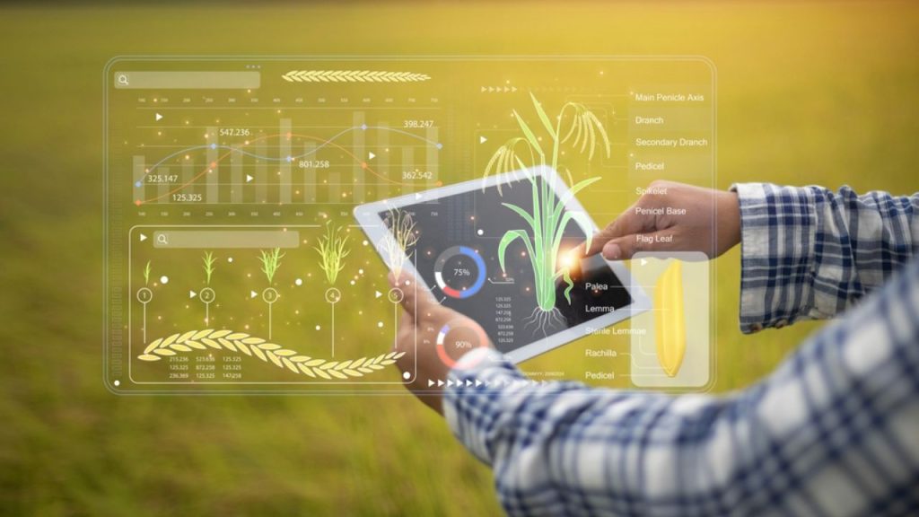 Reforma Tributária no agro: o que o produtor rural precisa revisar agora para evitar riscos e prejuízos