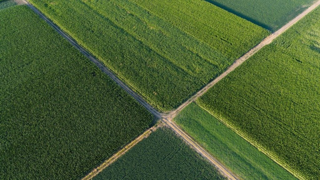 Safra 2026/27 pode renovar recordes de soja e milho no Brasil