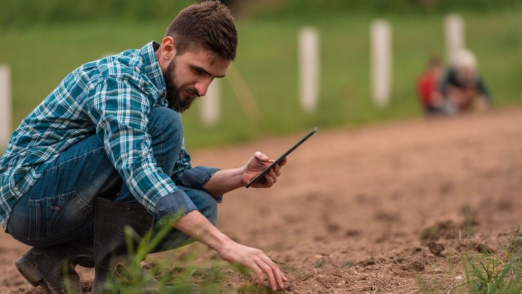 Manejo do solo: como usar fertilizantes e corretivos com mais precisão