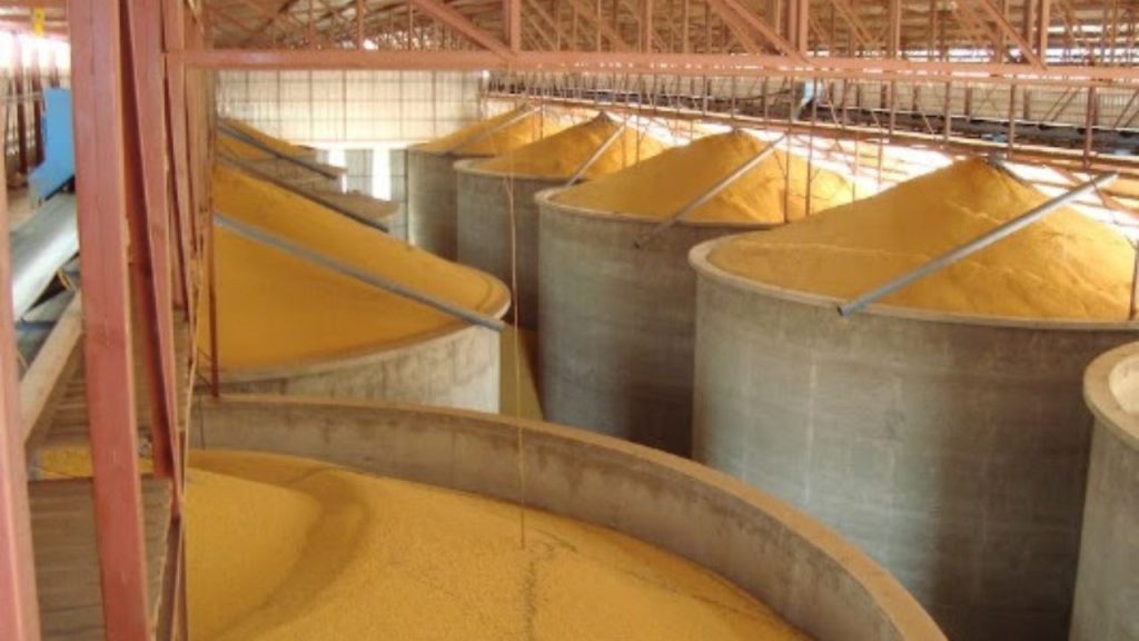 Safra recorde pressiona armazenagem e amplia espaço para automação de silos
