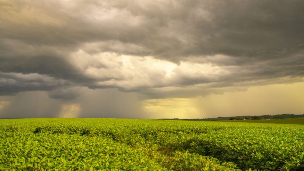 El Niño 2026: o que acompanhar na primavera e na safra 2026/27