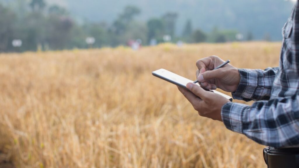 Nova lei do seguro rural: entenda o que muda para o produtor