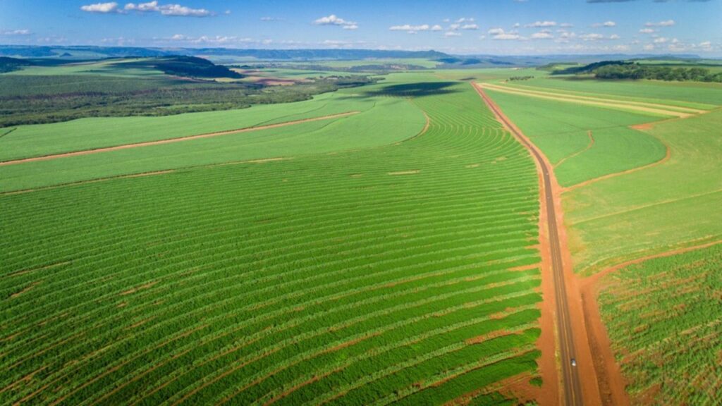 Crédito rural 2027: checagem por satélite pode afetar o financiamento