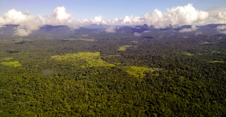 Mercado de Carbono: o que é? Qual a relação com as indústrias?