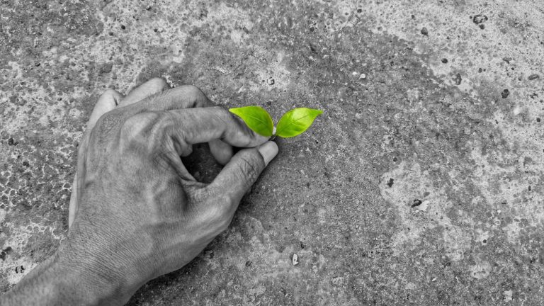 Bioconcreto: a solução sustentável que pode transformar a construção civil