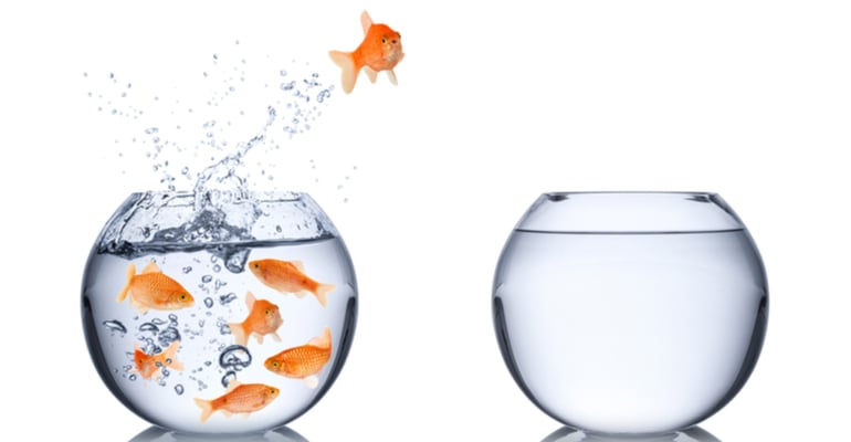 Como transformar incertezas em oportunidades!