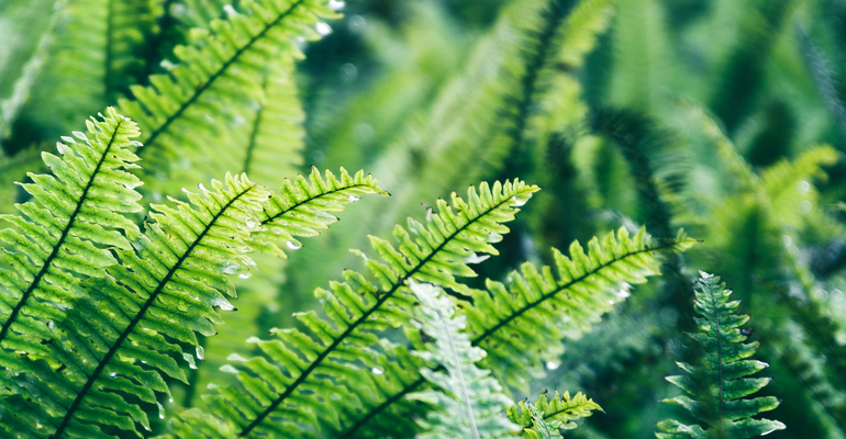 É impossível realizar uma ação sem causar uma consequência. Tudo está ligado a sistemas