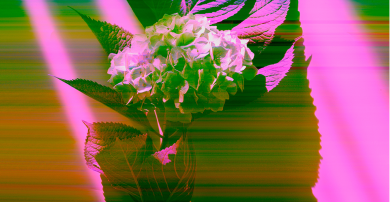 Efeito fantasma na sublimação: o que fazer para evitar?