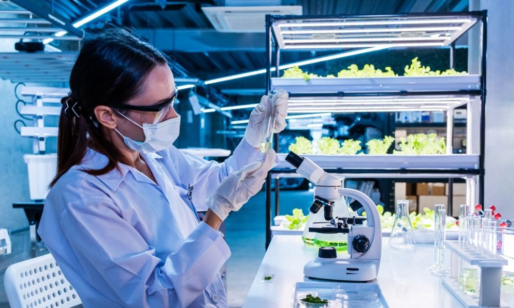 Cientista equipada com jaleco, luvas, máscara e óculos de proteção analisando um tubo de ensaio, ao lado de um microscópio e prateleiras de cultivo hidroponico iluminadas por LED.