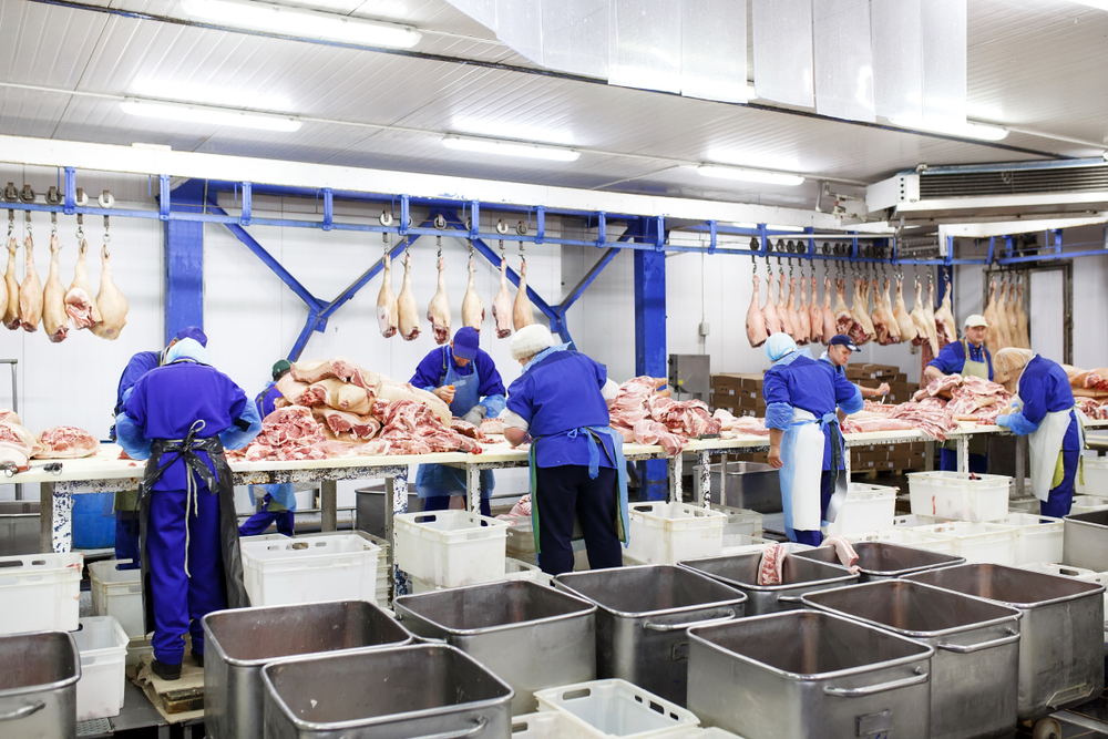 Menos problemas e processo mais sustentável: conheça vantagens da logística reversa