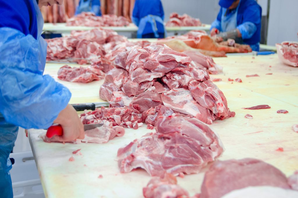 Por que investir em equipamentos e capacitação para aproveitar a carcaça suína?