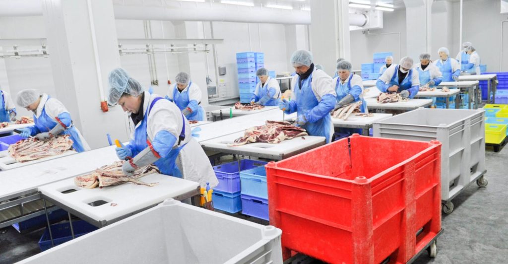 Veja como implantar um programa de ergonomia em seu frigorífico