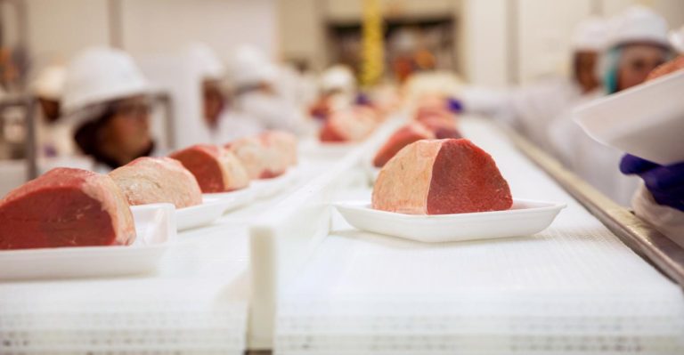 Evite perdas produtivas avaliando corretamente suas carcaças