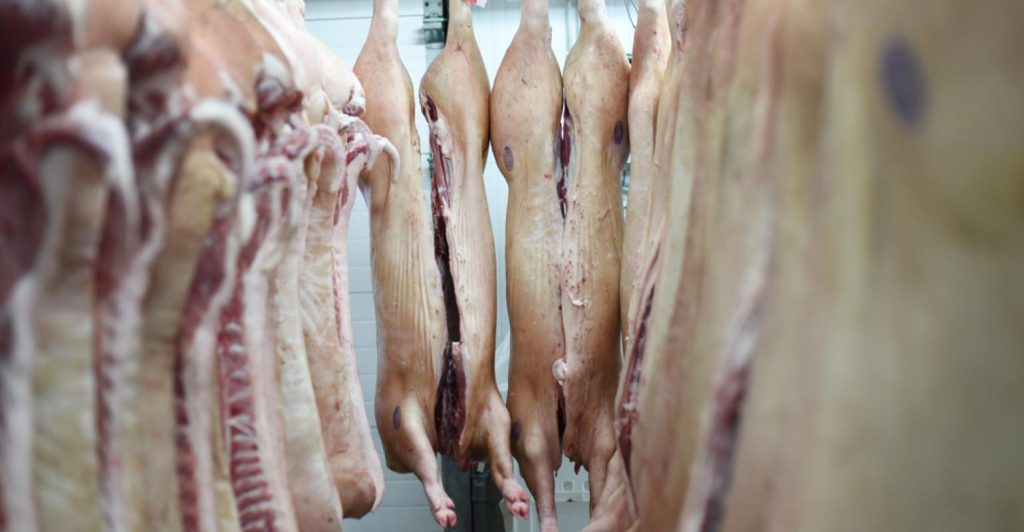 Como fazer a exportação de carne suína para a Coreia do Sul
