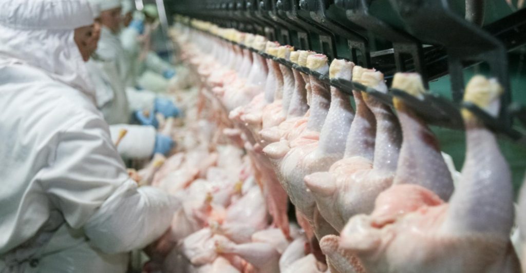 Devo usar ozônio para higienizar carcaças?