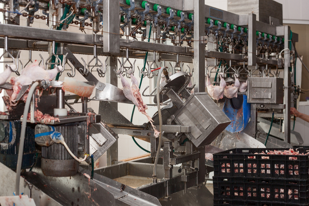 Desossa mecanizada X manual: prós e contras de cada processo