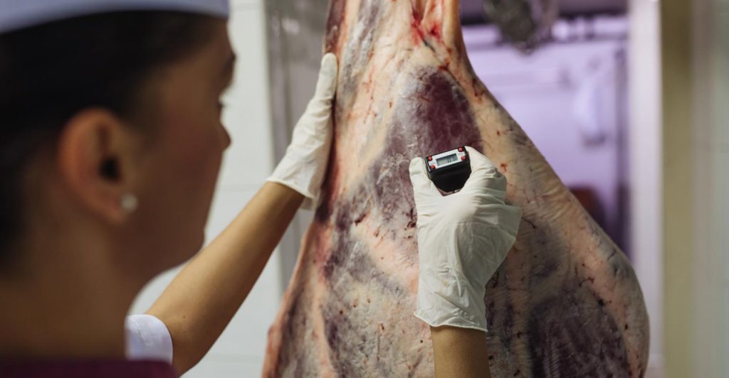 Como manter a máxima sanidade das carnes produzidas no Brasil