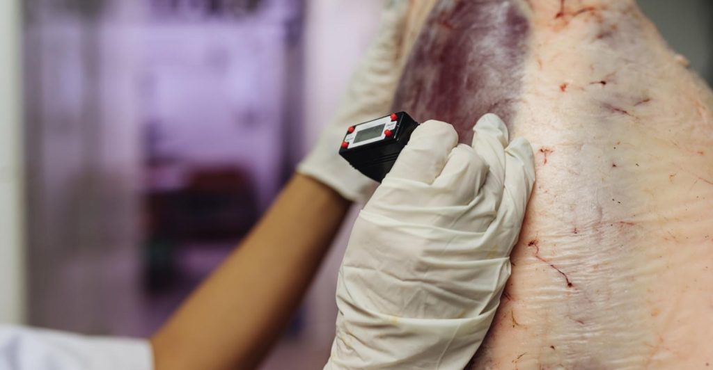 Interessado em avaliar qualitativamente a carne? Veja como fazer