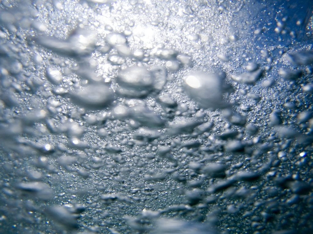 Cuidados para o descongelamento de carnes