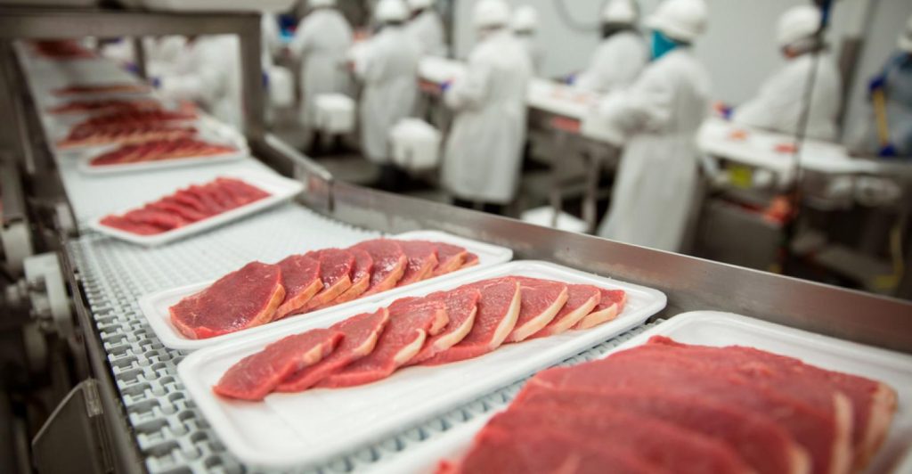 5 cuidados no pré-abate para obter carne com boa aparência