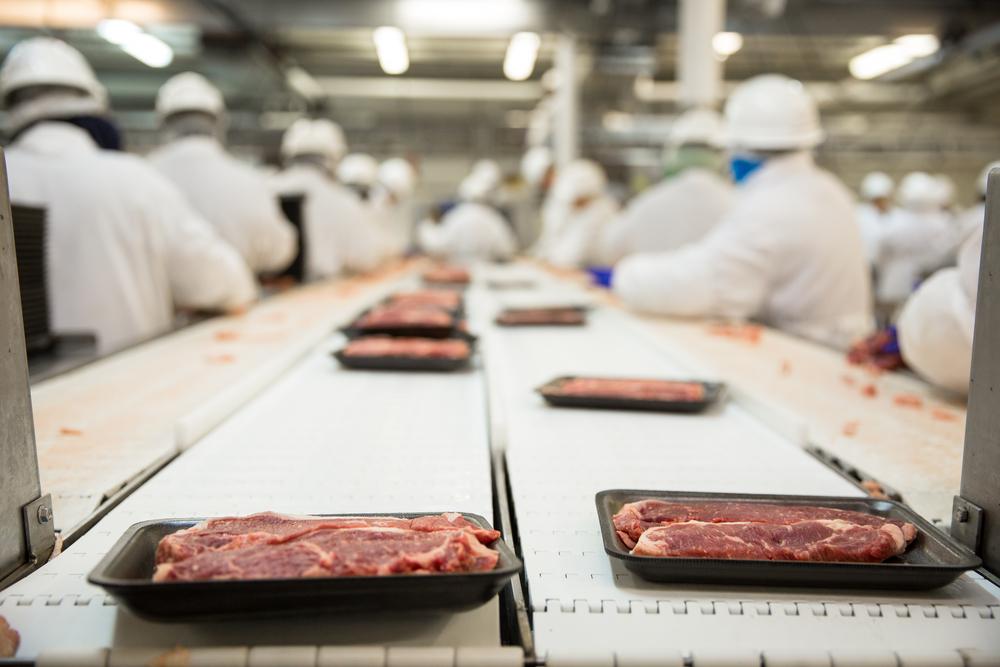 Equilibre a variação do abate de gado com a cadeia produtiva