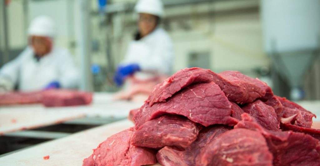 Soluções para toda cadeia produtiva estão na Tecnocarne