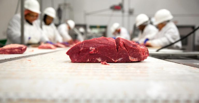 Sabe a diferença de programas de ergonomia entre açougues, abatedouros e frigoríficos? Especialista explica