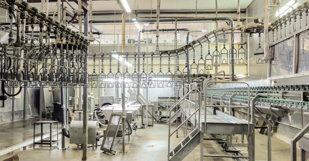 Comece a readequar seu frigorifico agora mesmo com esses passos
