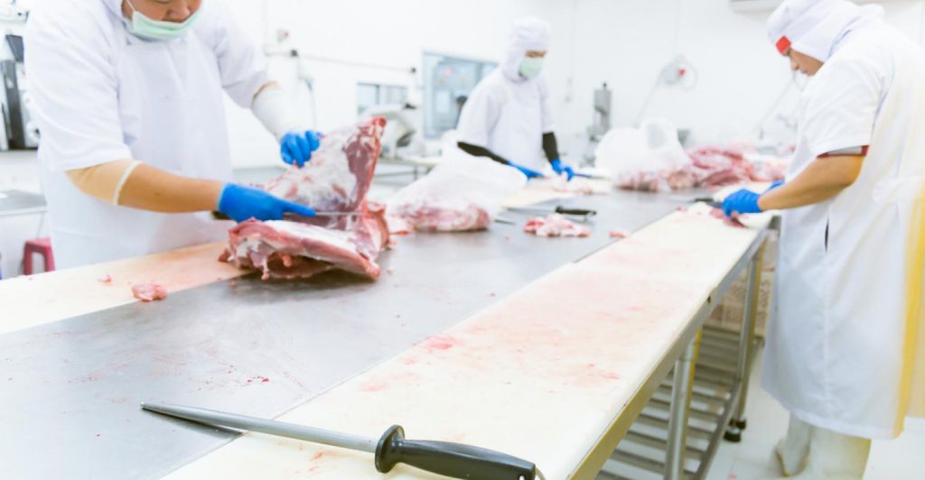 Desenvolva produtos de alto valor agregado com reciclagem animal