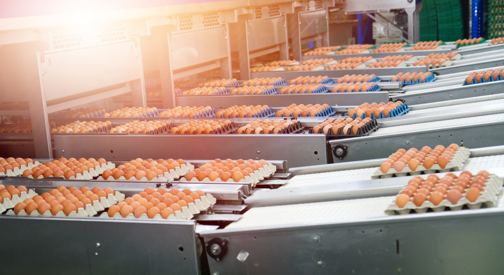 Importância da segurança alimentar para a indústria de alimentos e bebidas