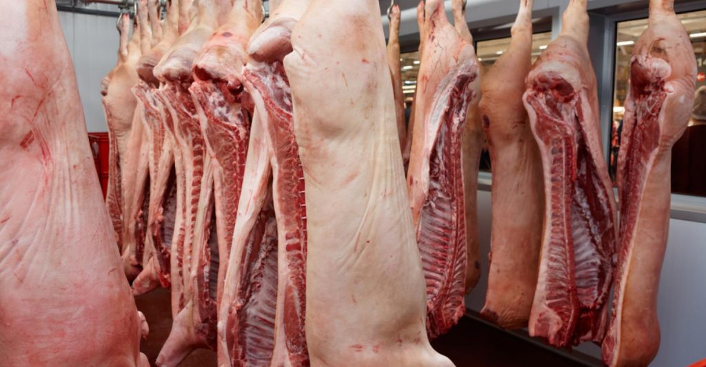 Brasil tem grande potencial de exportar carne suína para a Coreia do Sul