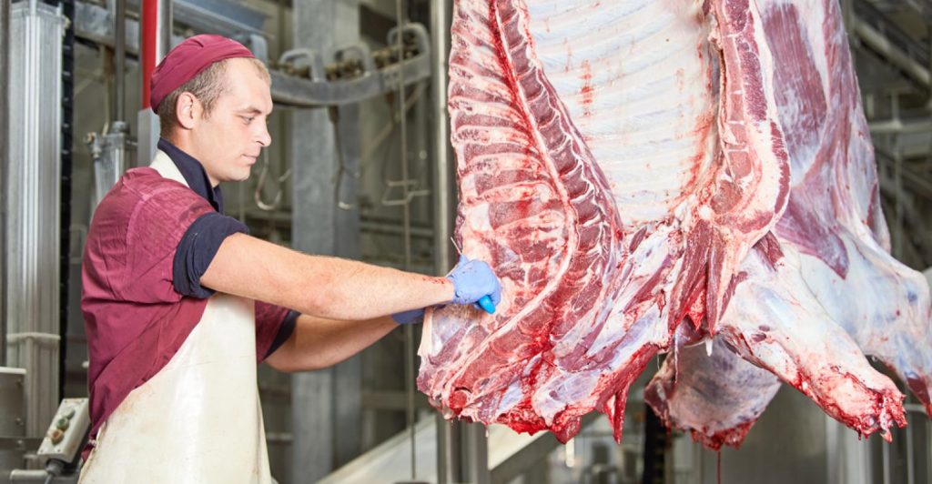 Conheça – e evite – as ações que podem fechar abatedouros e açougues