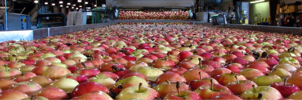 E-book: Boas práticas de reuso de água