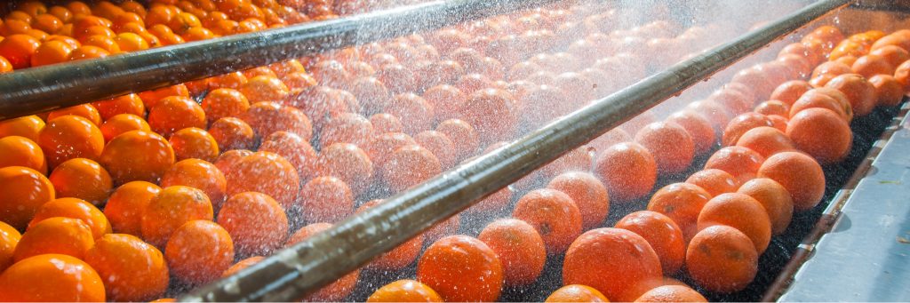 E-book: Como corrigir perdas operacionais na indústria de alimentos