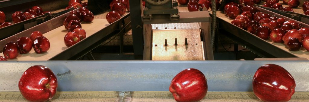 Infográfico: Embalagens lightweight